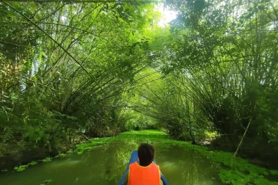 Feel the quiet wild of lung ngoc hoang in can tho, spot rare birds, glide by boat, and wander rice fields with a local guide. private transport and all fees included.