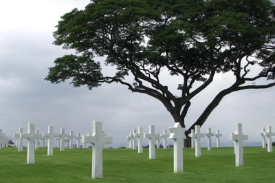 Feel the history at normandy’s d-day beaches, pointe du hoc cliffs, and the american cemetery on a small-group day trip from paris with guide and transport included.