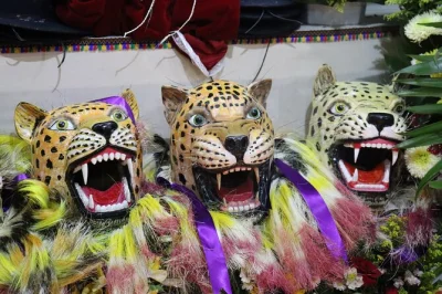 Partecipa ai carnevali zoque di chiapas—scegli tra san fernando o coita. cammina per strade vivaci, visita le cohinas, assaggia el curadito e scopri da vicino rituali unici.