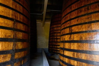 Step inside guadeloupe’s oldest distillery, explore the rum museum, and taste rare vintage rums with a local guide. includes accessible entry and tasting session.