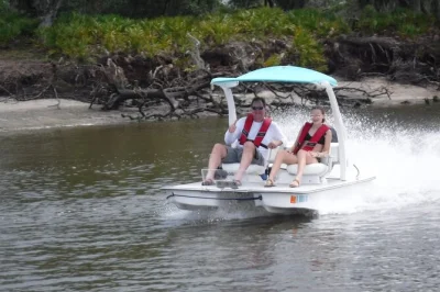 Découvrez marco island en pilotant votre propre cat boat, explorez les tunnels de mangroves, observez dauphins et lamantins avec un guide local, photos offertes incluses.