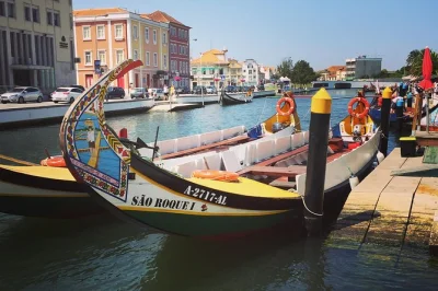 Parti da porto, naviga i canali di aveiro su un moliceiro, assaggia i dolci locali e scopri le vie storiche di coimbra con guida e trasferimento incluso.