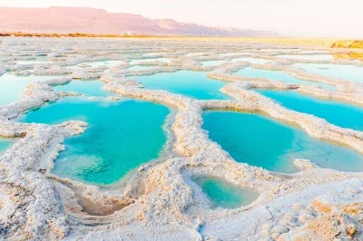 Start your jordan journey in amman with hotel pickup, explore madaba’s mosaics, gaze from mount nebo, visit the baptism site, and float in the dead sea. includes lunch option.