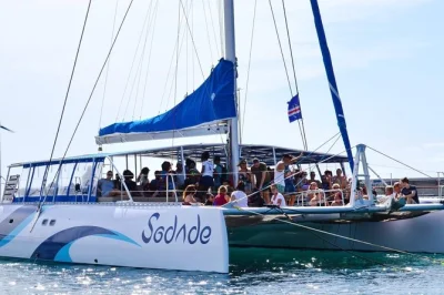 Sail from palmeira on a spacious catamaran with lounge beds, unlimited drinks, and a floating pool. includes hotel pickup and local snacks. seasonal turtle or whale sightings.