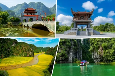 Descubra a tranquilidade de ninh binh em um passeio de um dia saindo de hanói — visite a antiga hoa lu, navegue pelas cavernas de trang an e suba a mua cave com transporte incluso.