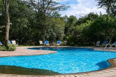 Découvrez le cœur sauvage du masai mara lors d’un safari privé de 3 jours au départ de nairobi. lions, éléphants et culture masaï, avec transfert, guide et droits d’entrée inclus.