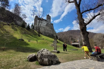 Feel the quiet forests near brasov, meet rescued bears at zărnești, and step inside bran castle’s legends. includes private transport and easy forest walk.