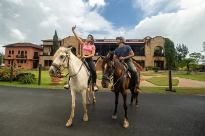 Feel the rhythm of paso fino horses on a private ranch near san juan, ride with local guides, and relax at a hilltop mojito bar after your adventure. includes helmet.