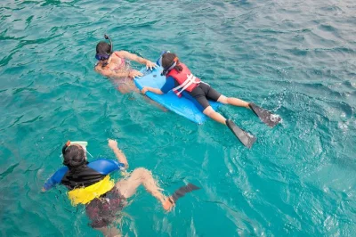 Erlebe eine schnorcheltour am molokini crater ab maalaea harbor, schwimme im vulkanischen krater, entdecke bunte meeresbewohner und genieße ein mittagessen mit getränken.