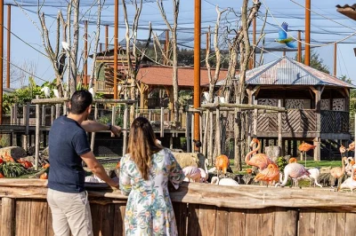 Step inside parrot world near paris, explore the amazon aviary, spot jaguars & giant otters, and enjoy immersive wildlife moments with self-guided entry ticket.