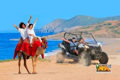 Scopri il lato selvaggio della baja vicino a cabo san lucas: guida utv, cavalca cammelli sulla spiaggia del pacifico e termina con una degustazione di tequila. include pick-up in hotel e guida bilingu