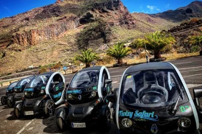 Vivi l’aria fresca di montagna con un safari eco a tenerife in auto elettrica, tra degustazioni di caffè locale, passeggiata in piantagione di banane e sosta in laboratorio artigianale. tour in pic