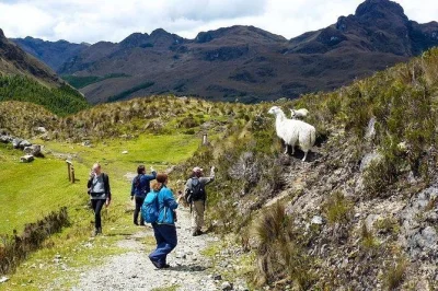 Start your cajas adventure from cuenca with a guided hike, 3 cruces viewpoint, andean lakes, and ecuadorian lunch. includes hotel pickup and all fees.