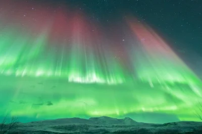 Nordlichter jagen bei tromsø mit erfahrenem guide, am lagerfeuer aufwärmen, arktische suppe und marshmallows genießen – inklusive professioneller aurora-fotos.