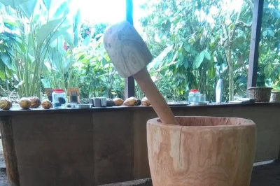 Scopri il profumo intenso del caffè costaricano a la fortuna, assaggia cioccolato fresco e dolcetti di canna da zucchero in un tour pratico con degustazioni e storie locali.