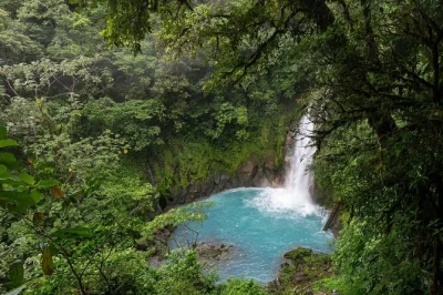 Segui i sentieri nella foresta pluviale fino alle acque turchesi del rio celeste, ammira la cascata, cammina sul vulcano tenorio e rilassati nelle sorgenti termali. include trasporto, guida locale e p