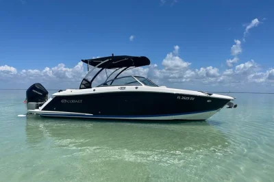 Feel the quiet of key largo bay at sunset, spot dolphins and manatees, and cruise with a local captain. private boat tour includes pickup and flexible timing.