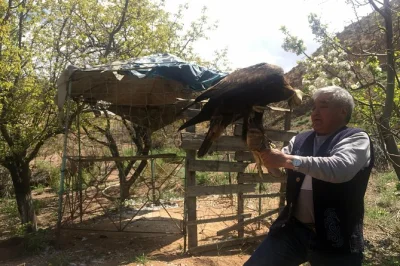 Explore kyrgyzstan’s nomadic culture on a 4-day issyk-kul lake tour. visit burana tower, karakol, jety oguz, and see eagle hunting up close.