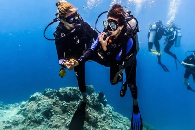 Feel the first rush of diving in bali’s tulamben, from coral garden to the famous usat liberty shipwreck. includes equipment, certified guide & pickup.