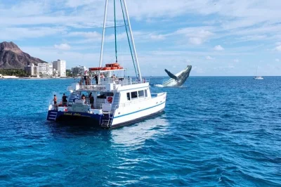 Disfruta el avistamiento de ballenas en waikiki, observa jorobadas desde la cubierta o bajo el agua, con guías locales y avistamientos garantizados. incluye snacks y opción de reprogramar.
