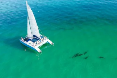 Commencez votre matinée à key west en naviguant, en kayak dans les mangroves et en snorkeling sur les récifs avec un guide local. snacks bio, équipement complet et petits groupes assurés.