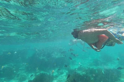 Explorez les récifs d’isla mujeres, découvrez le musée sous-marin et faites du snorkeling avec un guide local. matériel et frais inclus. journée familiale avec accès bateau facile.