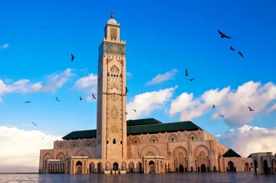 Casablanca entdecken: bummel über den habous-markt, staunen an der hassan-ii.-moschee und minztee an der corniche. inkl. abholung vom hotel oder hafen und lokaler guide.