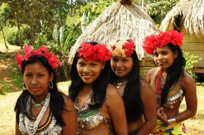 Découvrez un village embera dans le parc national de chagres. balade en bateau, forêt tropicale, cascade, déjeuner local et immersion culturelle. réservez vite !