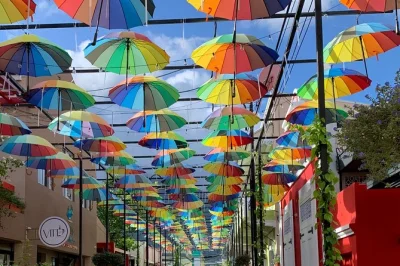 Disfruta la brisa en el monte isabel de torres, pasea por las calles victorianas de puerto plata y prueba un ponche de ron con guía local. incluye recogida en el puerto.