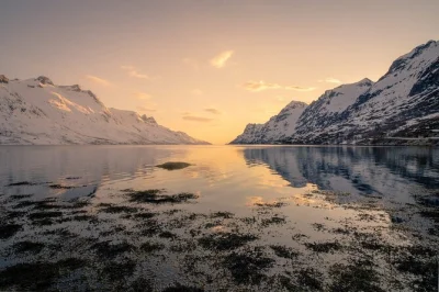 Entdecke kvaløya mit seinen fjorden, rentieren und seeadlern. genieße ein mittagessen im fischerdorf ersfjordbotn. inkl. abholung, snacks und lokalem guide.
