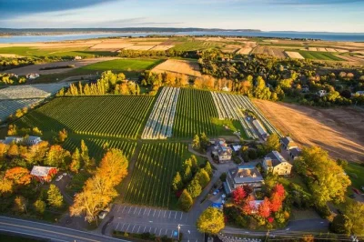 Explore nova scotia’s wine country at your own pace. visit valley wineries, taste local wines, and enjoy private transport on this relaxed vineyard tour.