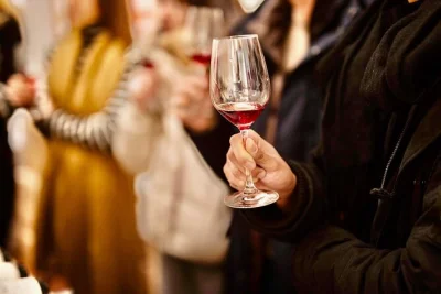 Feel the burgundy terroir in dijon with a pinot noir masterclass, tasting 4 wines from village to grand cru. led by a local expert, includes all tastings.