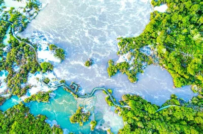 Scopri i sentieri geotermici di whakarewarewa a ritmo tuo. laghi fumanti, pozze di fango e boschi nativi ti aspettano. biglietto incluso, prenota ora.