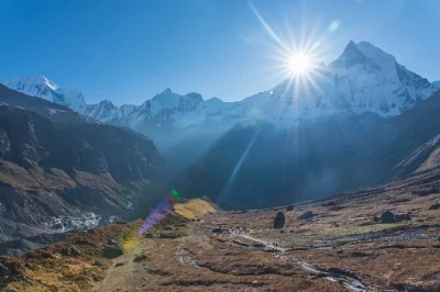 Start in pokhara for a 5-day annapurna base camp trek, crossing gurung villages, bamboo forests & high mountain trails. includes hotel pickup, guide & meals.