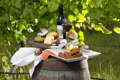 Savor artisan cheese, oysters, and local wine on bruny island with a small group. includes pickup from hobart, beachside lunch, and guided tastings at top producers.