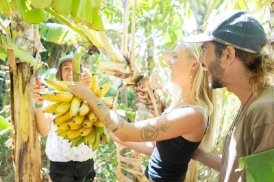 Descubre maui y el volcán haleakala en un tour en grupo pequeño por la granja la kahea. prueba frutas frescas, conoce animales y disfruta vistas únicas.