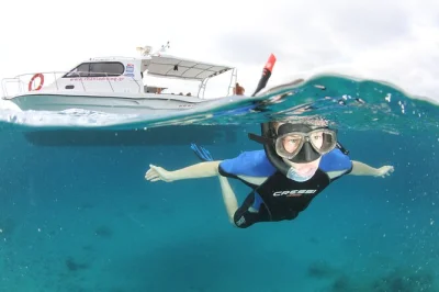 Scopri la costa di creta con un tour in barca guidato, fai snorkeling nella magica grotta blu e rilassati a marathi beach. transfer, attrezzatura e snack inclusi.