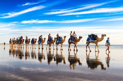 Disfruta un paseo en camello por cable beach en broome, captura fotos gratis y recibe unos pendientes de perlas de agua dulce. incluye guía local y paseo de 30 minutos.