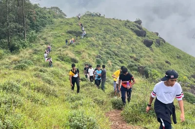 Faça uma caminhada pelas plantações de chá de munnar, pelas pastagens das colinas lakshmi e pela floresta shola. histórias guiadas, observação de aves e vistas panorâmicas incluídas.