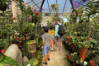 Wander lush trails at puerto vallarta botanical garden, swim in the horcones river, taste local tequila, and meet rescued wildlife. small groups with pickup included.