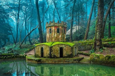 Descubre la magia de los palacios de sintra, disfruta de sus pasteles en el casco antiguo y siente el atlántico en cabo da roca, todo con transporte privado y guía local.