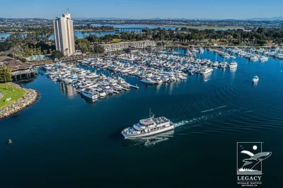 Observe baleias, golfinhos e leões-marinhos na costa de san diego em um passeio de 3 horas com naturalistas certificados. estacionamento grátis, avistamento de animais e diversão para toda a famíl