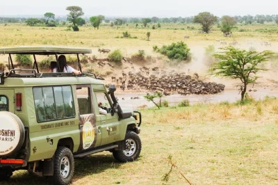 Feel the pulse of the serengeti on a 10-day safari following the wildebeest migration, with private game drives, crater views, and all transfers included.