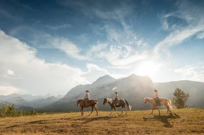 Respirez l’air frais des montagnes lors d’une randonnée à cheval guidée au-dessus de la vallée de kananaskis, avec des panoramas à couper le souffle et des anecdotes locales. cheval et équip
