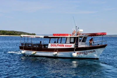 Fazana, archipel de brijuni : croisière au coucher du soleil avec observation des dauphins, boisson offerte et équipage local. sortie en petit groupe au départ de fazana.