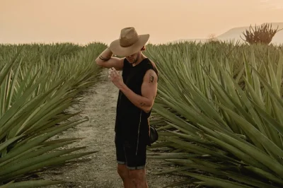 Scopri il percorso del mezcal da oaxaca a mitla e matatlán, passeggia tra i campi di agave, osserva la distillazione artigianale, assaggia mezcal illimitato e gusta un pranzo tipico, con pick-up incl