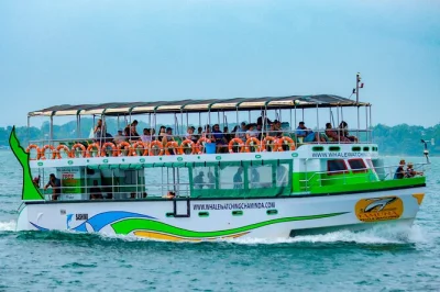 Watch blue whales and dolphins off mirissa’s coast on a luxury cruiser with expert crew, breakfast, and hotel pickup included. live commentary and safety-focused trip.