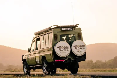 Feel the wild heart of tanzania on a private 5-day safari from arusha, with luxury camps, expert local guides, and close-up game drives in serengeti & ngorongoro.