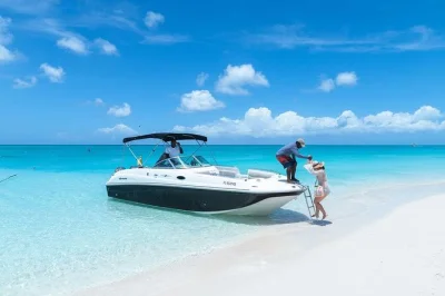 Swim with dolphins, snorkel turquoise waters, and visit iguana island on a private turks & caicos boat tour. includes snacks, drinks, and flexible timing.