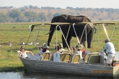 Wake up to coffee, cross into botswana, and cruise the chobe river before a guided game drive. includes transfers, lunch, and park fees for a full day of wildlife.